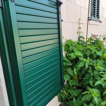 Paradise Island * Pucisca